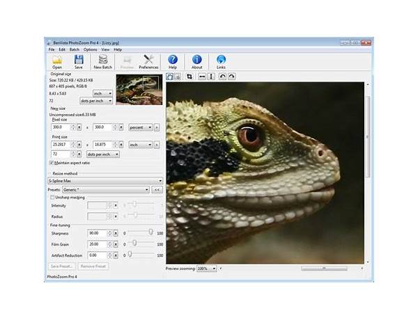 PhotoZoom Pro for Windows - Download it from Habererciyes for free